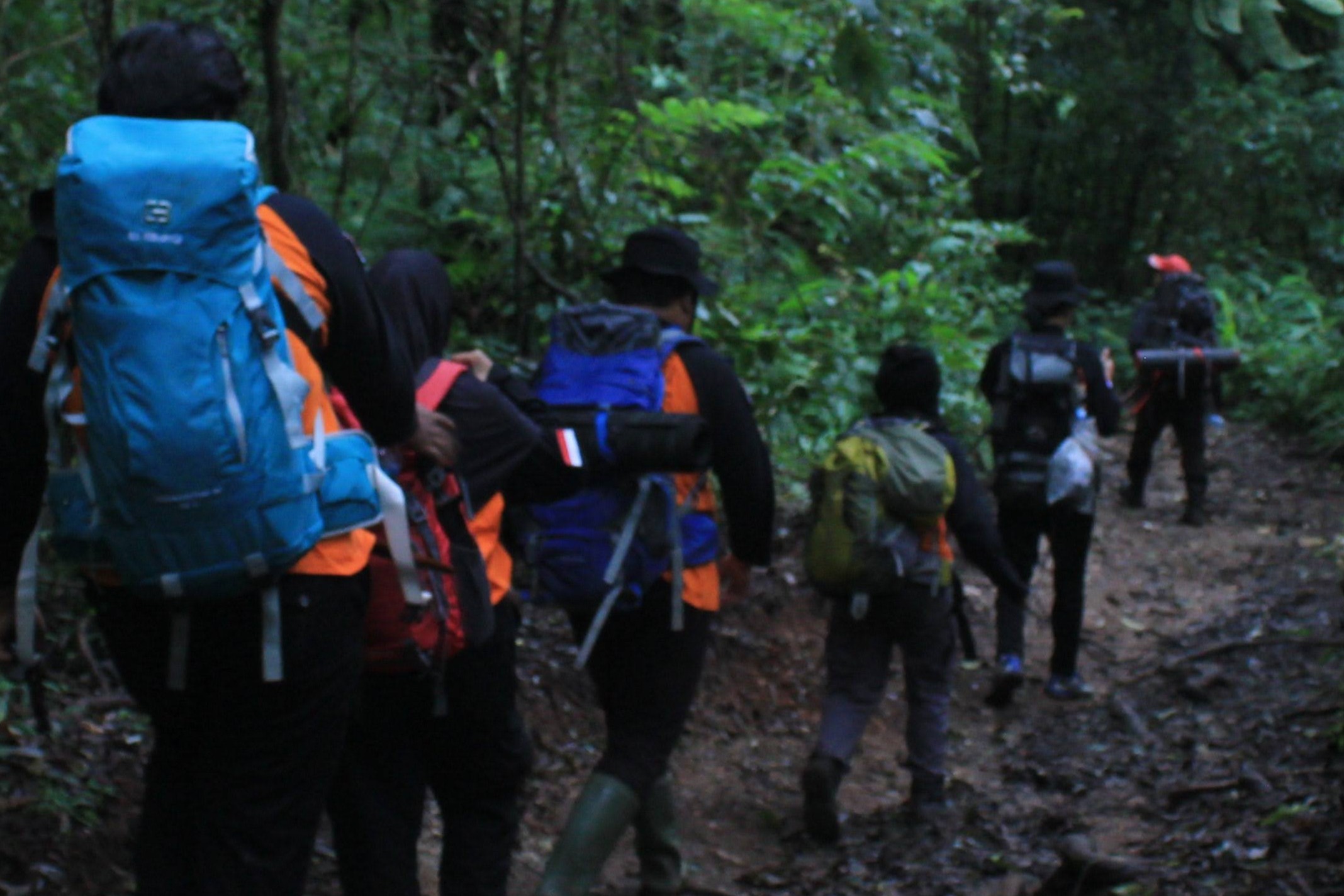 Read more about the article Latihan Pertolongan di Gunung dan Hutan